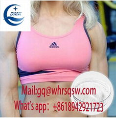 Safe Shipping SR9011 powder for bodybuilding cycle for sale CAS:1379686-30-2