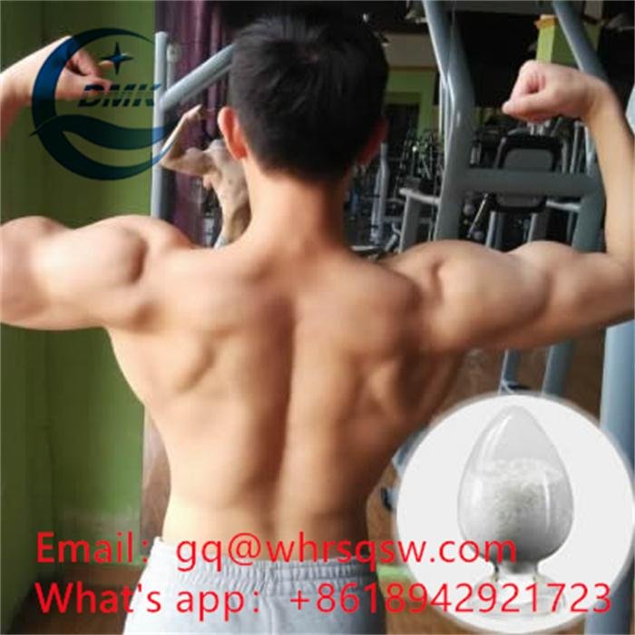  Testosterone for bodybuilding powder CAS:58-22-0