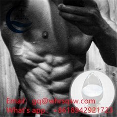 Testosterone Decanoate  powder fot bodybuilding CAS:5721-91-5 