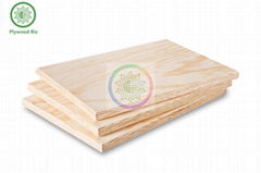 CDX Pine Plywood/Contrachapado de pino CDX (Hot Product - 1*)