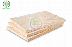 CDX Pine Plywood/Contrachapado de pino CDX