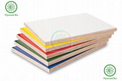 High Pressure Laminate/HPL Plywood