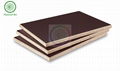 Phenolic WBP Film Faced Plywood