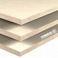 Plywood Biz Standard Film Faced Marine Plywood 3