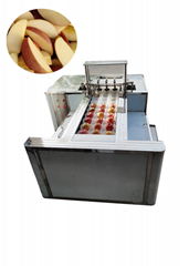 Apple pittiing and cutting machine