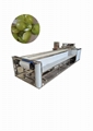 Grape cutting machine