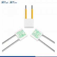 SETsafe温度保险丝T115, 防雷插座热保护器T115