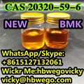 Best Price Diethyl(phenylacetyl)malonate CAS 20320-59-6  5