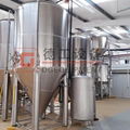 DEGONG 1000L Conical Fermentation vessels 5