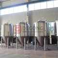 DEGONG 1000L Conical Fermentation vessels