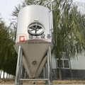 DEGONG 1000L Conical Fermentation vessels 4