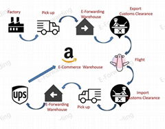 Air Freight Logistics