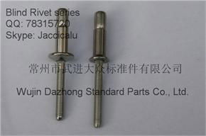 Dia. 3/16 - 1/4 stainless steel blind rivet for automotive industry
