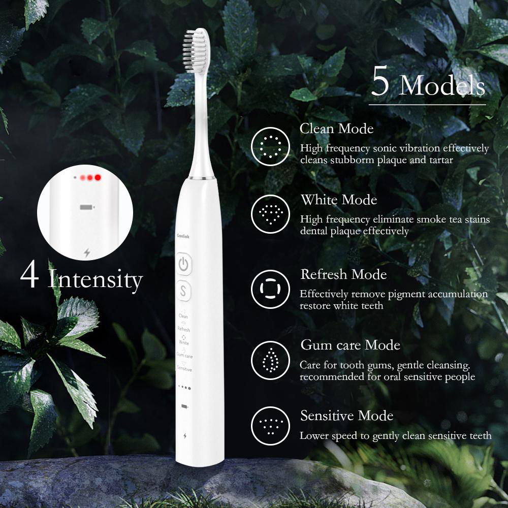 Portable Rechargeable Oral Biodegradable Sonic Electric Toothbrush  4