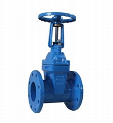 CAST IRON FLANGED SOFT-SEALING GATE VALVE