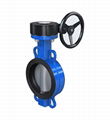 NON-PIN CONCENTRIC BUTTERFLY VALVE 1