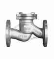 STAINLESS STEEL LIFT CHECK VALVE