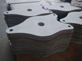 advanced NSiC fish setter plates,