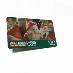 magnetic stripe card