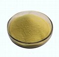 Andarine Powder Cas 401900-40-1 High Purity for Muscle Wasting 1