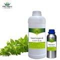 Chinese factory wholesale pure oregano oil with carvacrol 95%