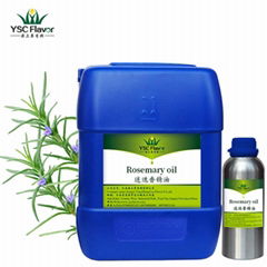 Wholesale price 100% pure natural organic essential rosemary oil