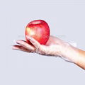 Food Contact Disposable Cpe Plastic Gloves 1