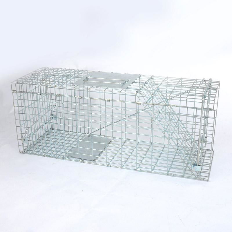 Metal humane animal eviction rabbit dog fox trap cage for sale