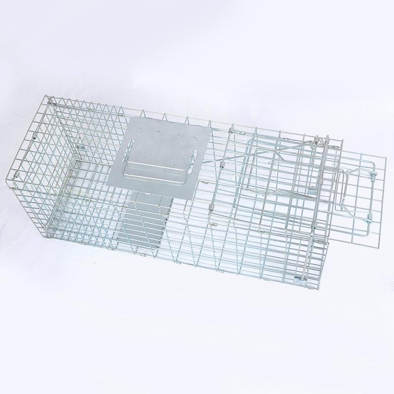 Metal humane animal eviction rabbit dog fox trap cage for sale 2