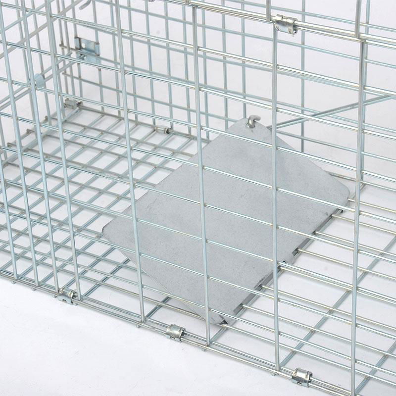 Metal humane animal eviction rabbit dog fox trap cage for sale 4