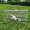 Pest controls rat trap cage collapsible