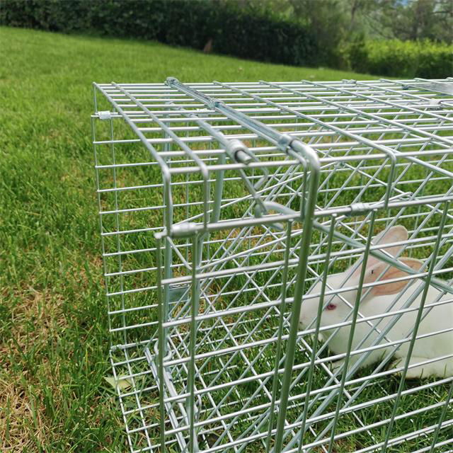 Pest controls rat trap cage collapsible mouse squirrel possum trap cage 2