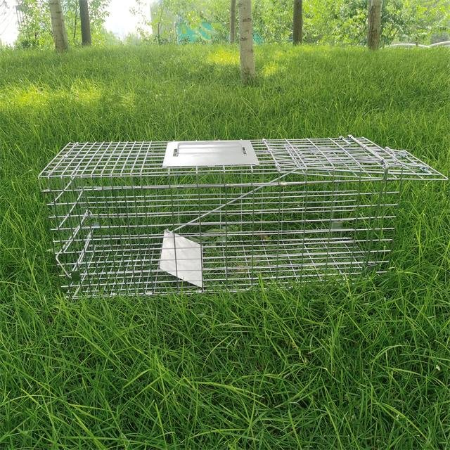 Pest controls rat trap cage collapsible mouse squirrel possum trap cage 4
