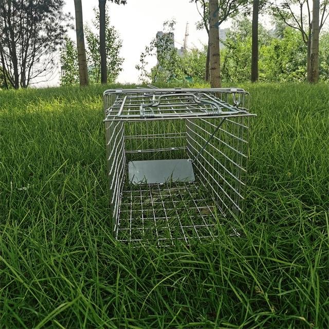 Pest controls rat trap cage collapsible mouse squirrel possum trap cage 5