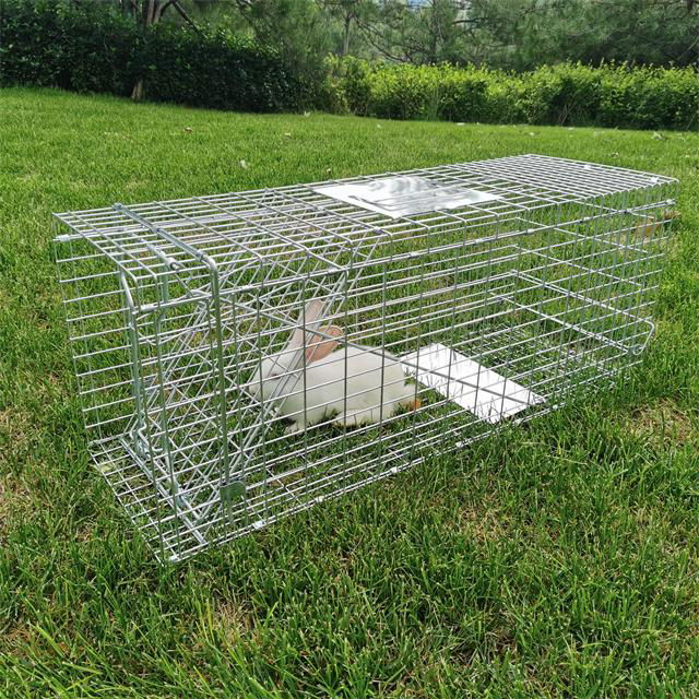 Folded humane live animal cage traps rabbit fox traps High Sensitivity Wire wild 2