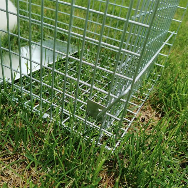 Folded humane live animal cage traps rabbit fox traps High Sensitivity Wire wild 3