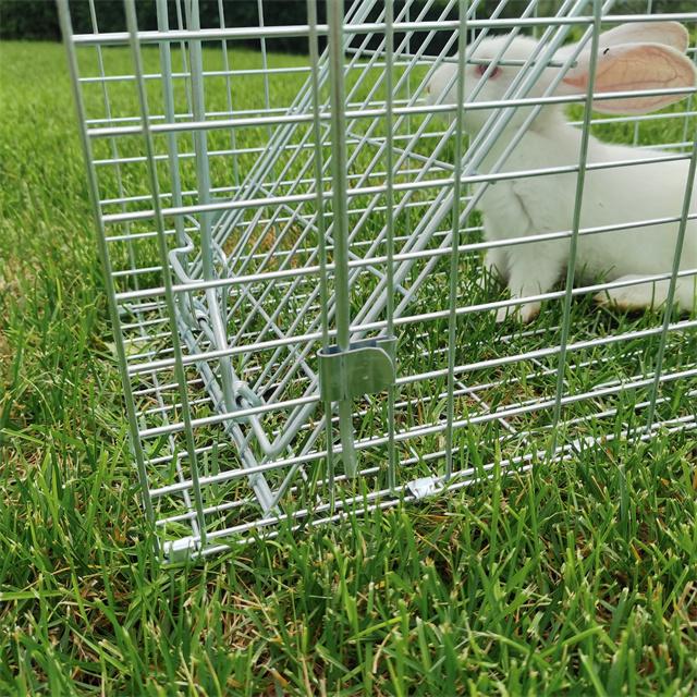 Folded humane live animal cage traps rabbit fox traps High Sensitivity Wire wild 5