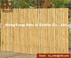 Natural Bamboo Fence