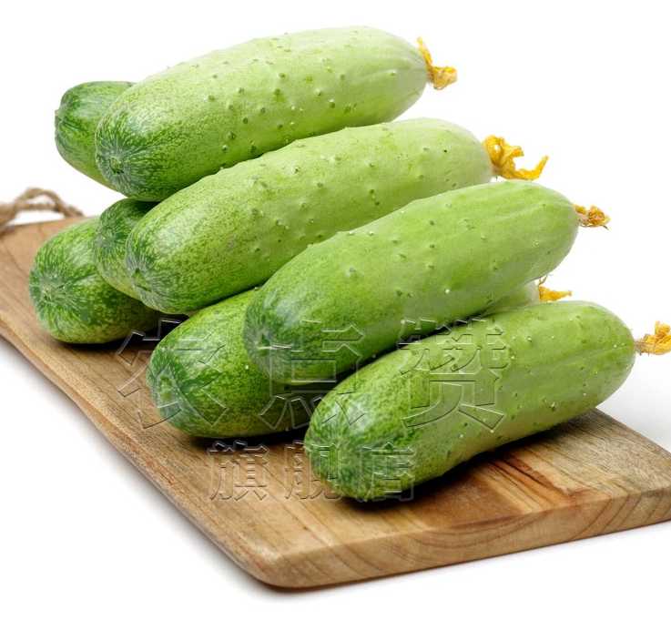 Heat and Cold Resistance Cucumber Seeds 4