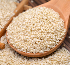 High Yield and Disease Resistant White Sesame Seeds
