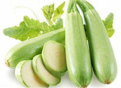 Hybrid Smooth Light Green Skin Squash Seeds