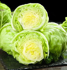 Sweet and Crisp Heading Lettuce Seeds