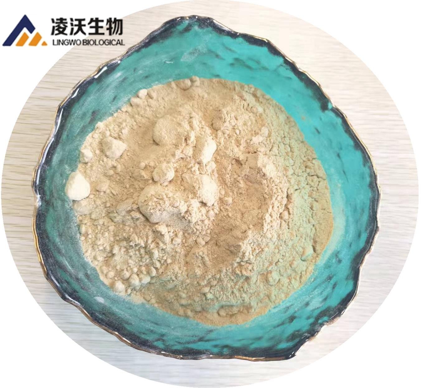2-(2-chlorophenyl)cyclohexanone 99.9% White Powder 91393-49-6 HeBei LingWo 3