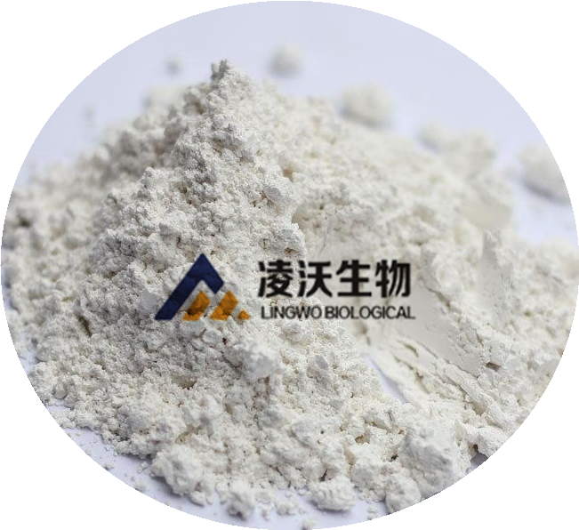 3-OXO-4-PHENYL-BUTYRIC ACID ETHYL ESTER 99.9% White Powder 718-08-1 HeBei LingWo
