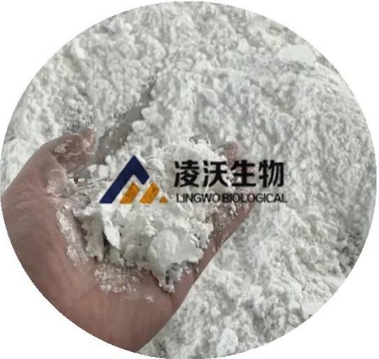 BMK Glycidic Acid 99.9% White Powder 5449-12-7 HeBei LingWo