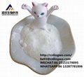 Professional Factory Supply BMK Powder bmk methyl glycidate CAS 80532-66-7 with  2