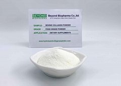 Hydrolyzed Bovine Collagen Powder for