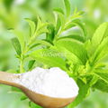 Stevia Extract Powder