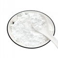 Erythritol Powder 1