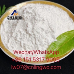 CAS718-08-1/ PMK/ 3-OXO-4-PHENYL-BUTYRIC ACID ETHYL ESTER